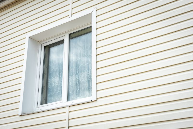 Siding with Trim